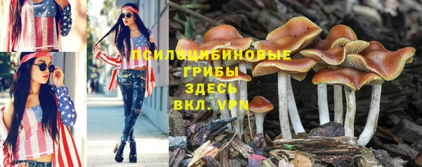 таблы Липки