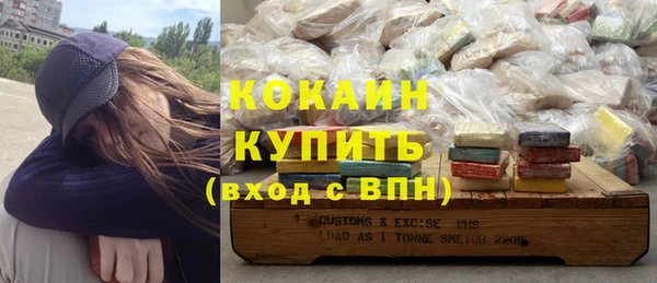 индика Лиски