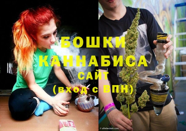 дживик Березники
