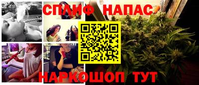 прущие крисы Гусев